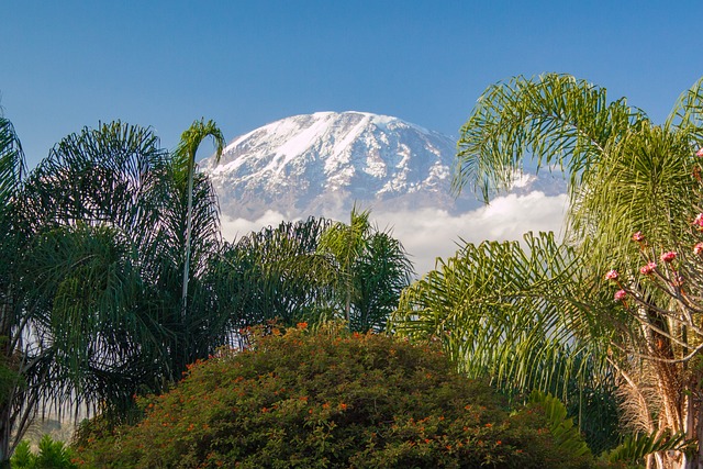 Tanzanian mountain range