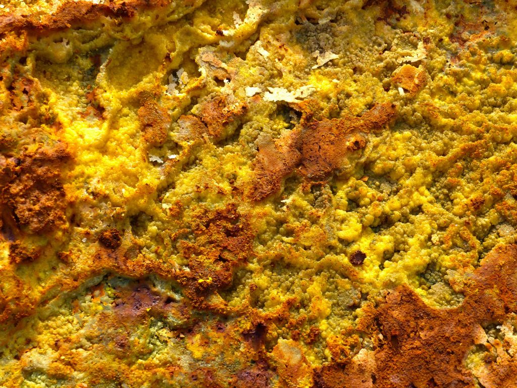 Close up of a Rock
