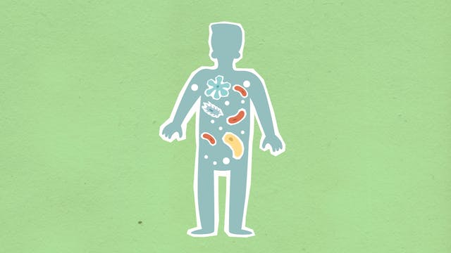 man with various gut bacteria