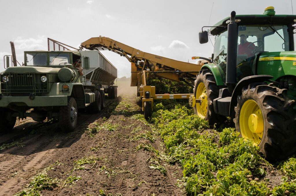 machine harvest
