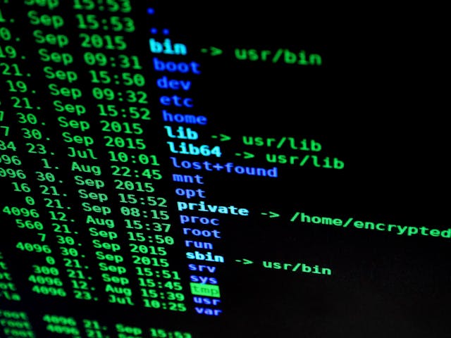 coding