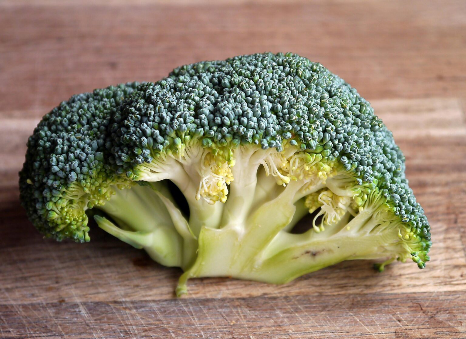 Natural Compound In Broccoli Can Eliminate Up To 90% Of Some Oral ...