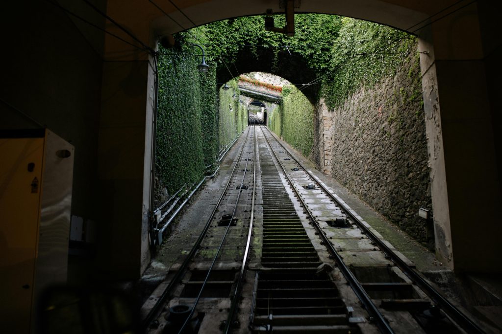 Train Rail in Tunnel with Green Plants on Wall
