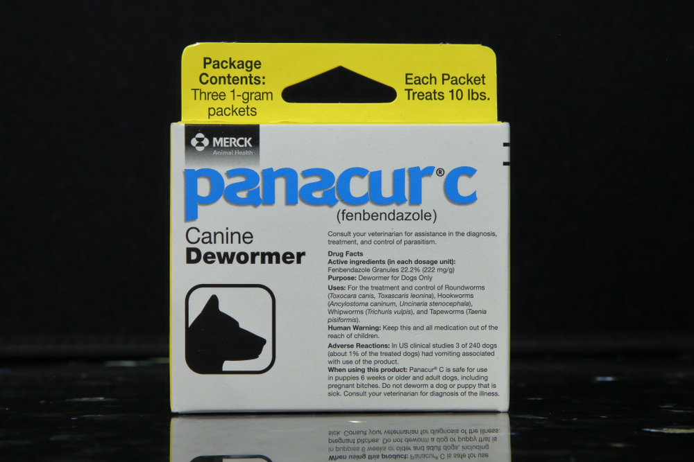 A container of Panacur C canine dewormer manufactured by Merck Animal Health, a subsidiary of Merck & Co., Inc. (NYSE ticker MRK) - San Antonio, Texas, USA - September 15, 2019