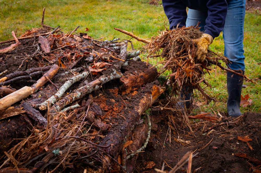 Person adding partially decomposed biomatter while making a Hugelkultur no-dig raised bed