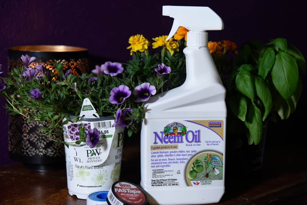 Riverside, CA USA - 10 03 2021: Neem Oil spray bottle and plants
