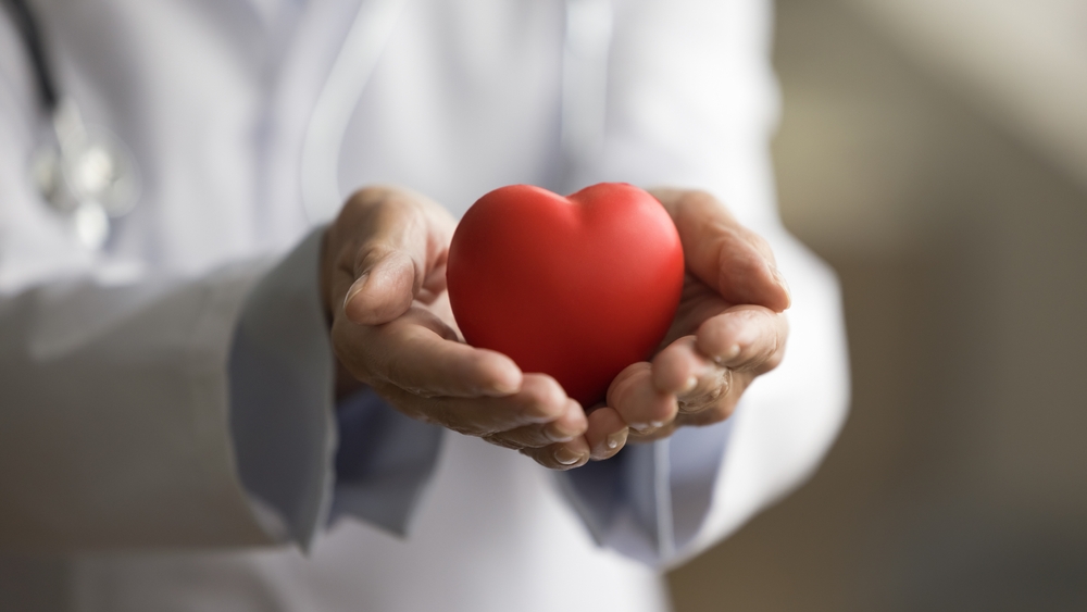 Hands of doctor woman holding red heart, showing symbol of love, human support to patient, promoting medical insurance, early checkup for healthcare, cardiologist help. Close up of object