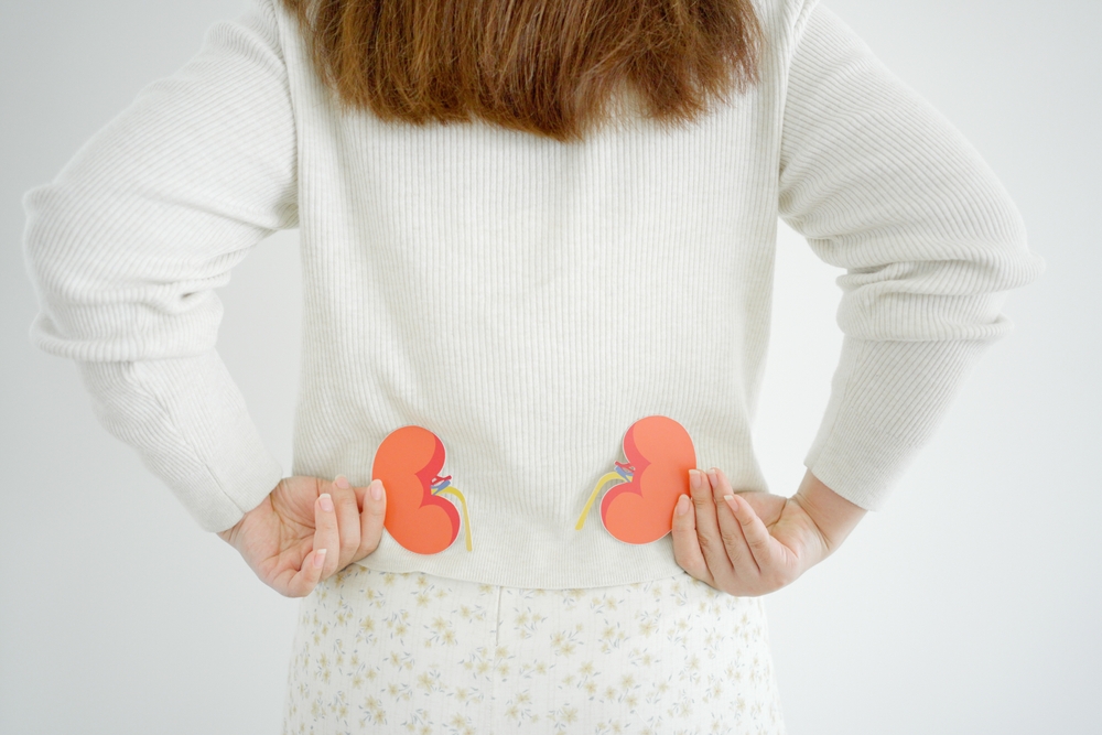 Hands holding kidney shaped paper, world kidney day, Organ Donor Day, Chronic kidney disease concept
