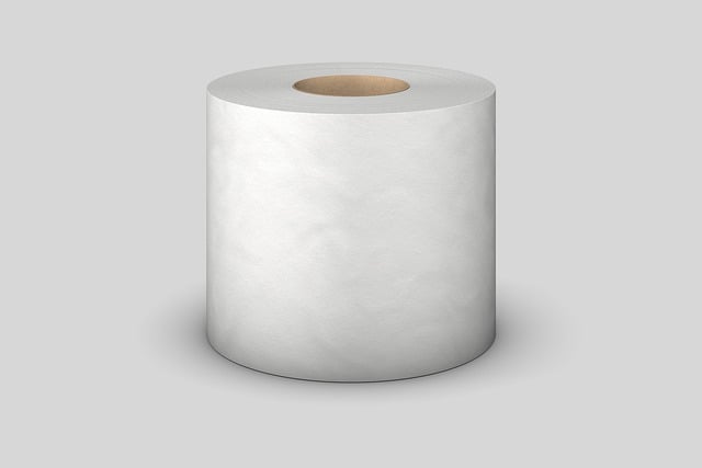 roll of toilet paper