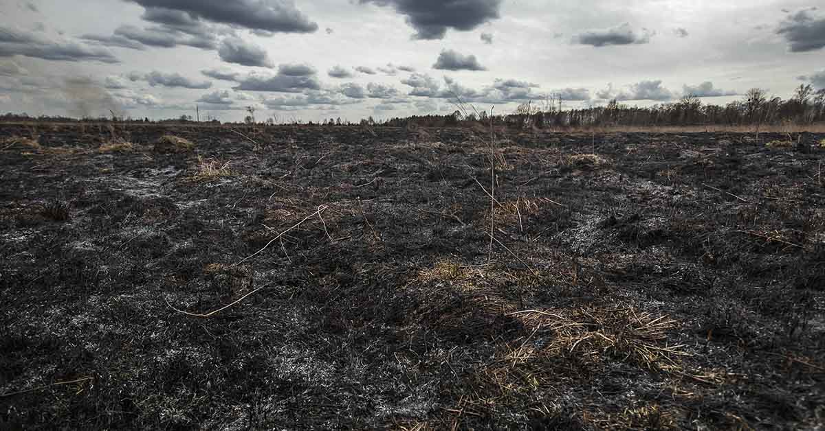 MIT Predicted in 1972 That Society Will Collapse This Century. Research Shows We’re on Schedule