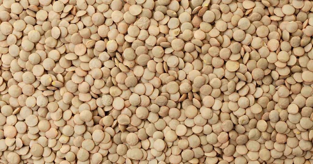 The Recession‑Proof Pantry List You Didn’t Know You Needed (Hint: Think Lentils, Rice & Beans) - Featured image