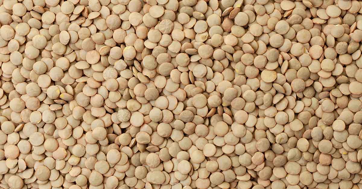 The Recession‑Proof Pantry List You Didn’t Know You Needed (Hint: Think Lentils, Rice & Beans)