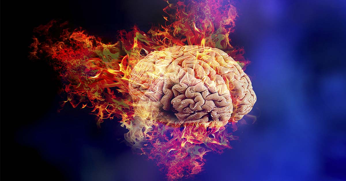 Rethinking Brain Power: How Fat Fuels Your Mind