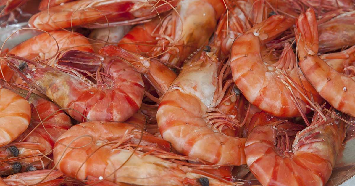 cooked shrimp