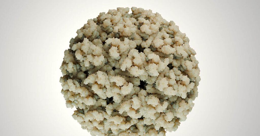 Chikungunya Virus Spreads in China Amid Government’s Strong Response - Featured image