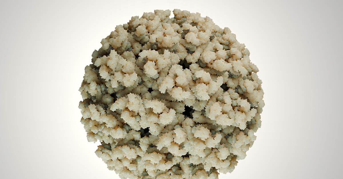 viral particle