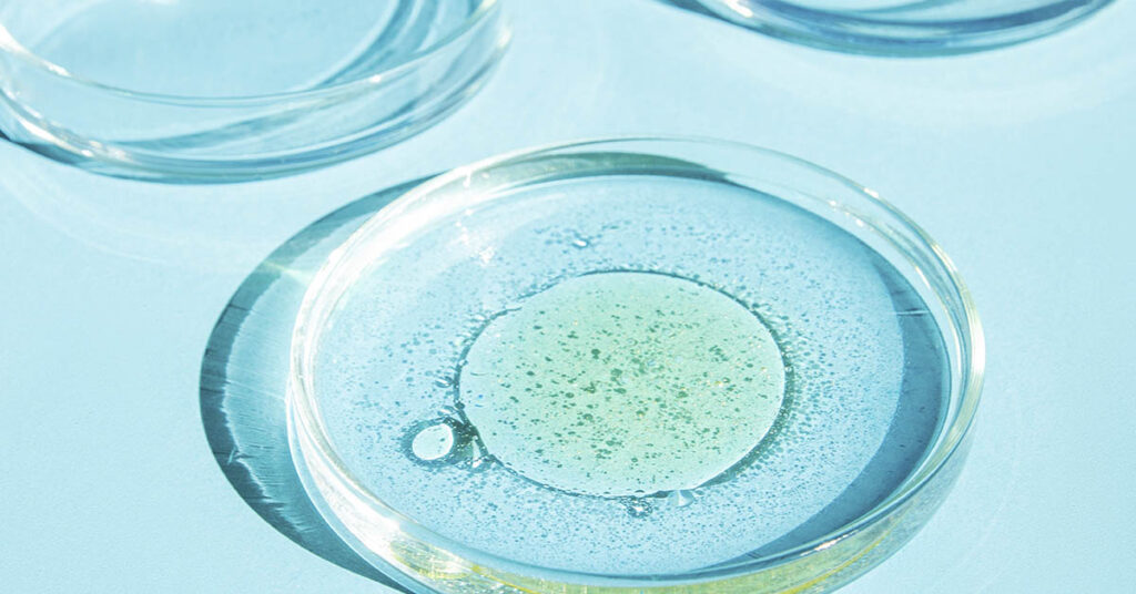 Eight Dead as Flesh-Eating Bacteria Cases Surge Amid Health Alert - Featured image