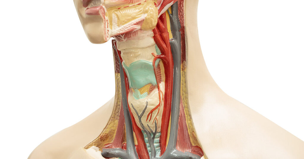 8 Risk Factors For Head and Neck Cancer That Aren’t Smoking - Featured image