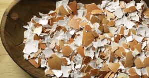 Households Advised to Hang Broken Eggshells in Garden for a Very Specific Reason Broken eggshells in a bowl