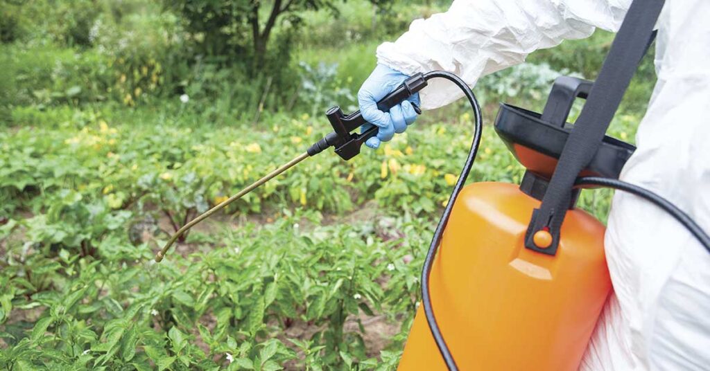 Study Warns Glyphosate Weedkiller May Be Linked to Liver Disease Epidemic - Featured image