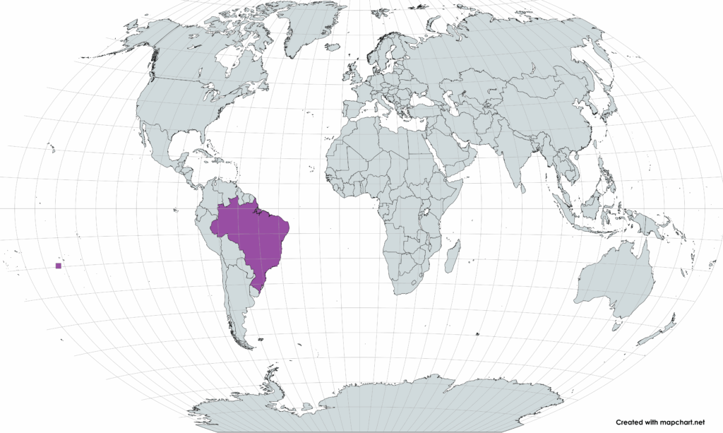 The Largest Country in South America