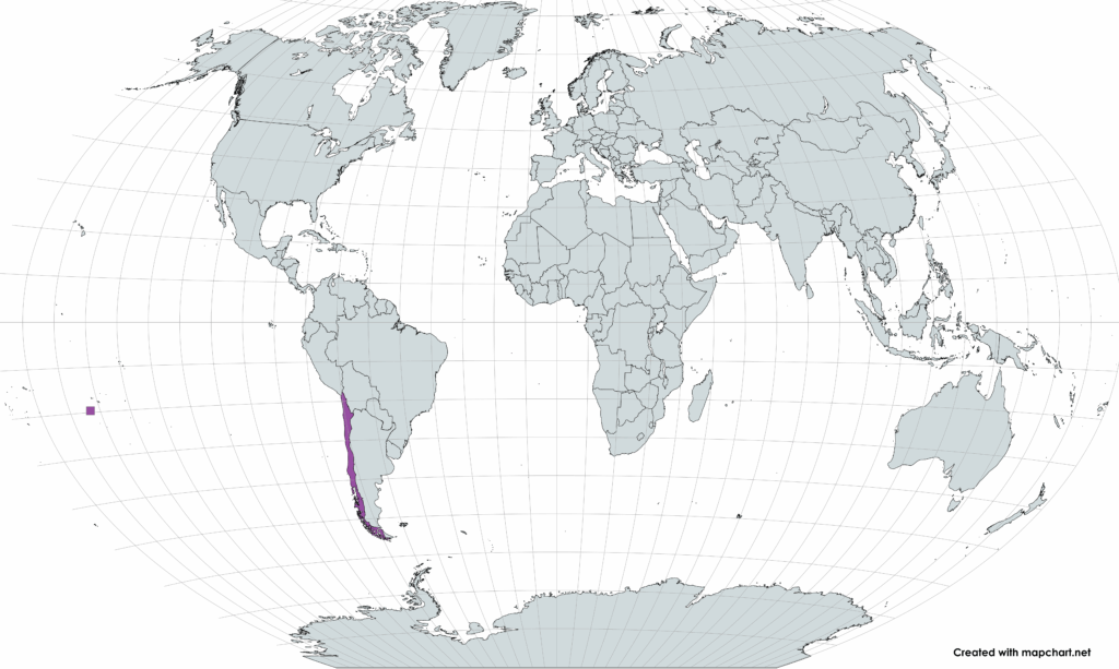 The Long and Narrow Stretch