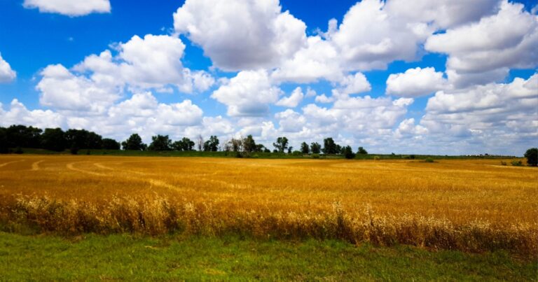 Scientists Detect Surprising Toxin Floating Over Oklahoma - Featured image