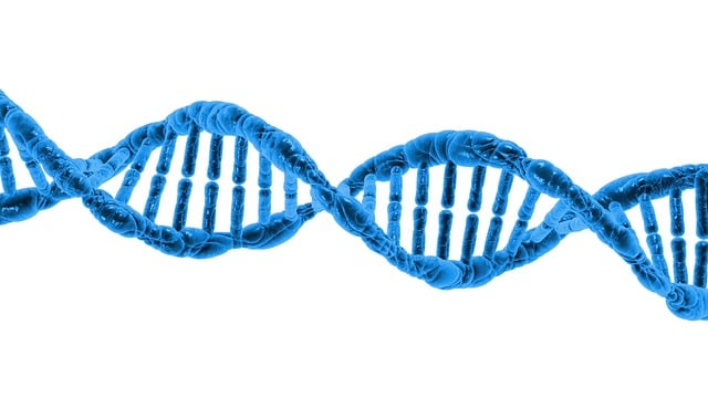 DNA strand