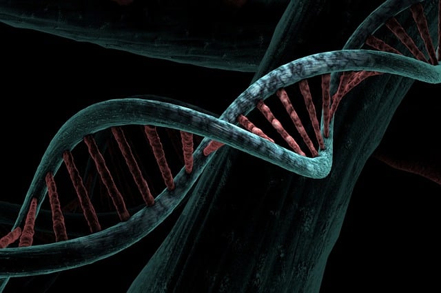 DNA strand