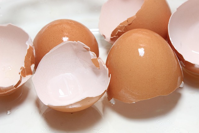eggshells