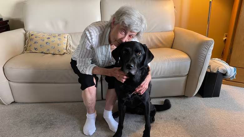 After a decade of blindness, Gail Lane regained the ability to see her partner’s service dog, Piper, wagging its tail — all made possible by an innovative surgical technique that implants a tooth into the eye socket to restore vision.