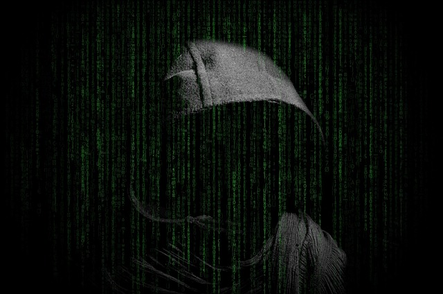 online scammer