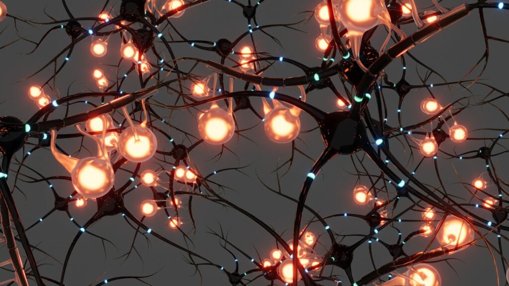 Network of glowing brain cells connected by bright pathways, showing neural activity.