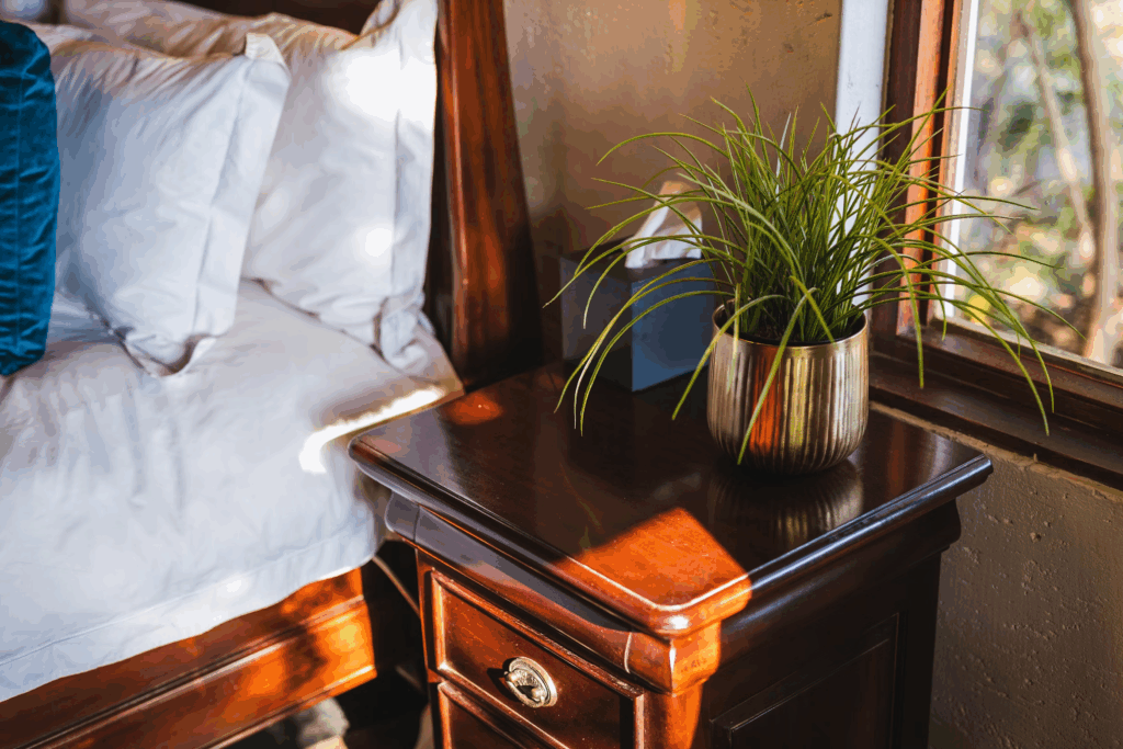 green plant on brown nightstand