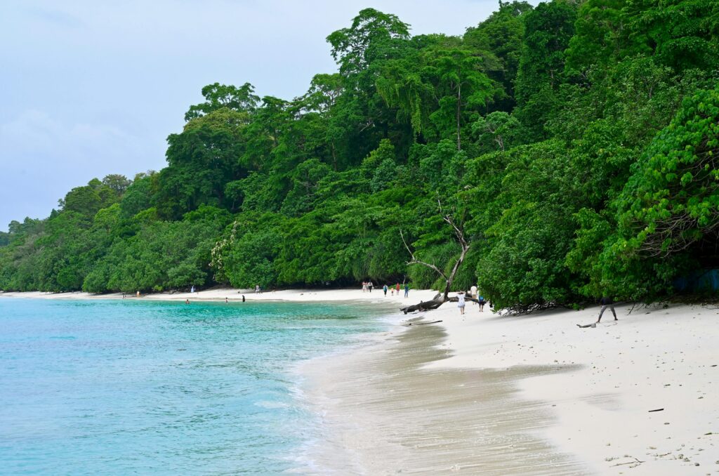 Pristine Beach in Andaman and Nicobar Islands