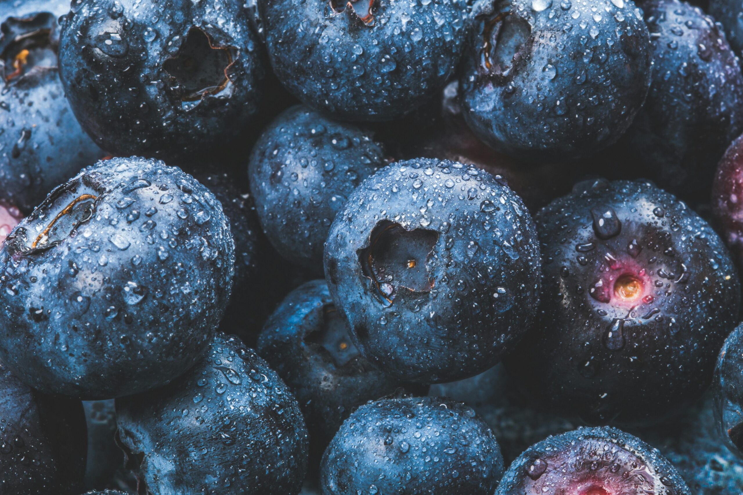 blueberries with small water droplets
