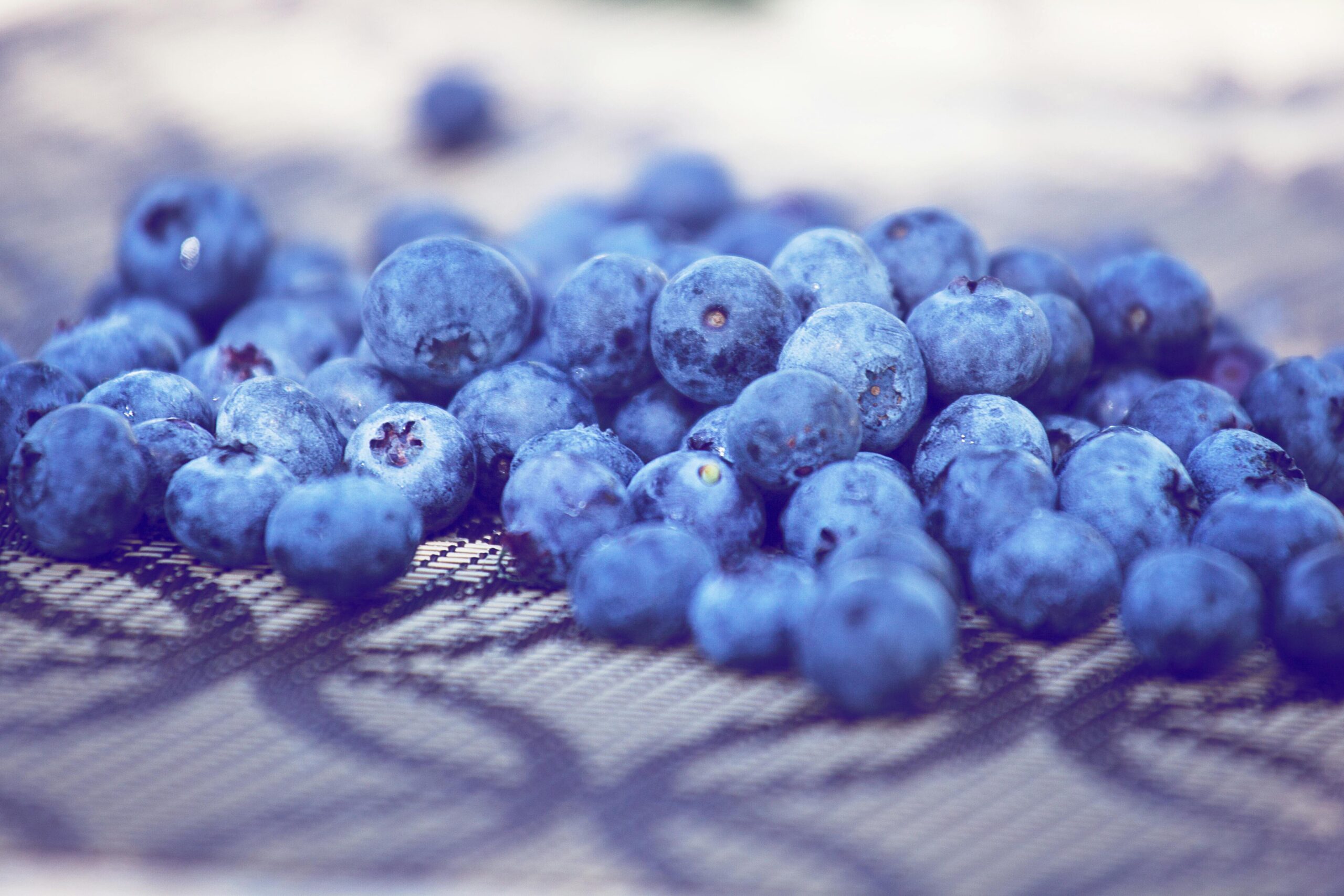 blueberries on drying rack after being washed