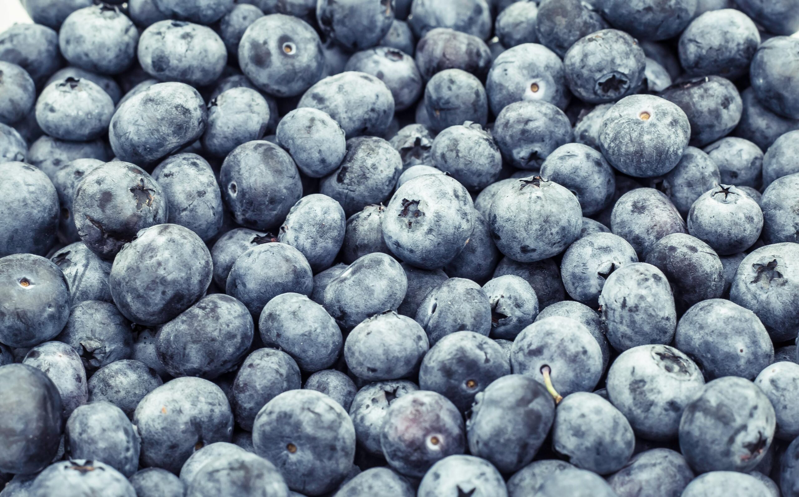 If you have more blueberries than you can eat in a few days, freezing is a great way to preserve them