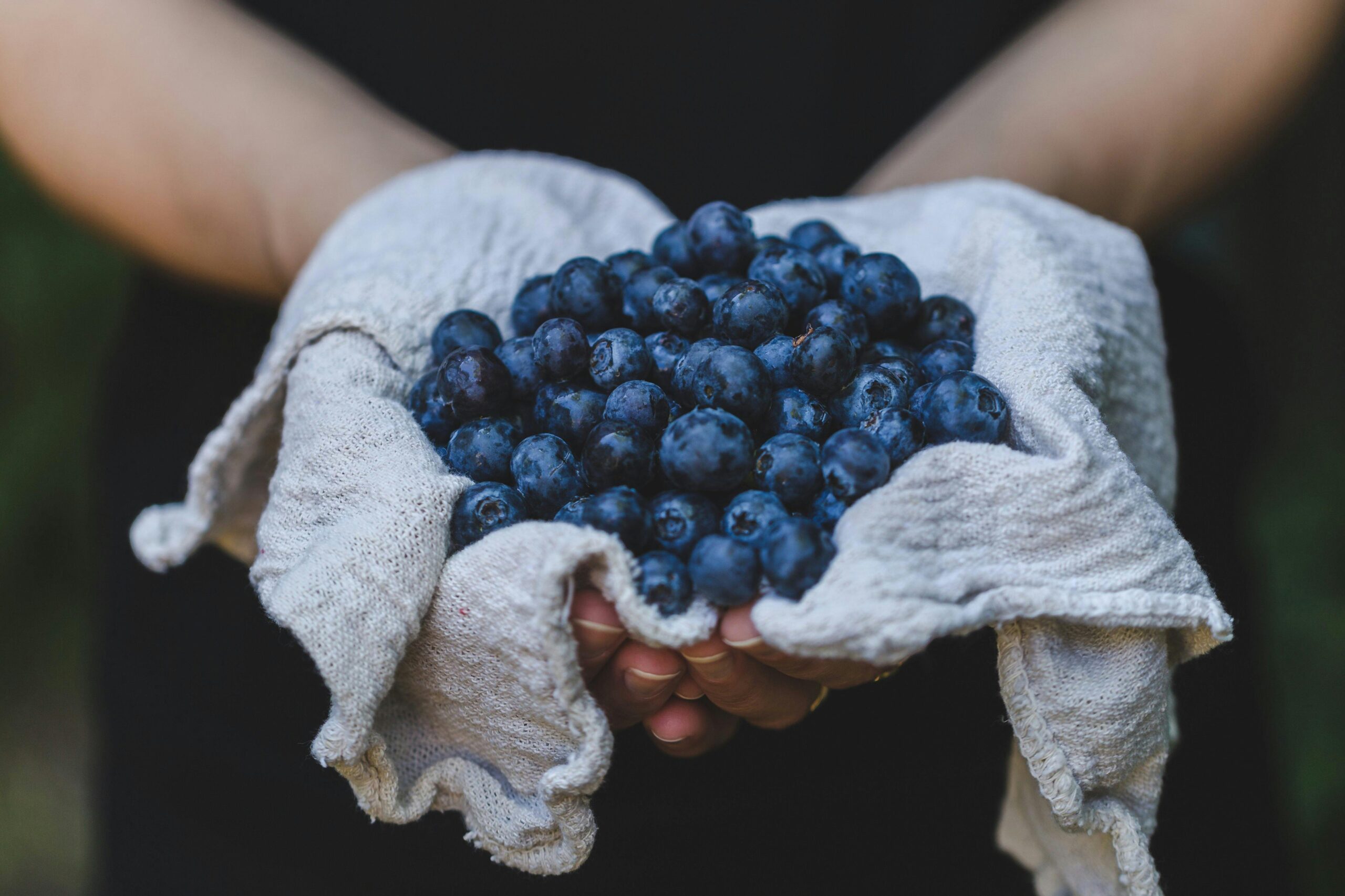 blueberries being held in cloth