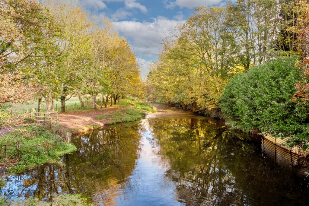 Serene Autumn River Scene in Suffolk, England

