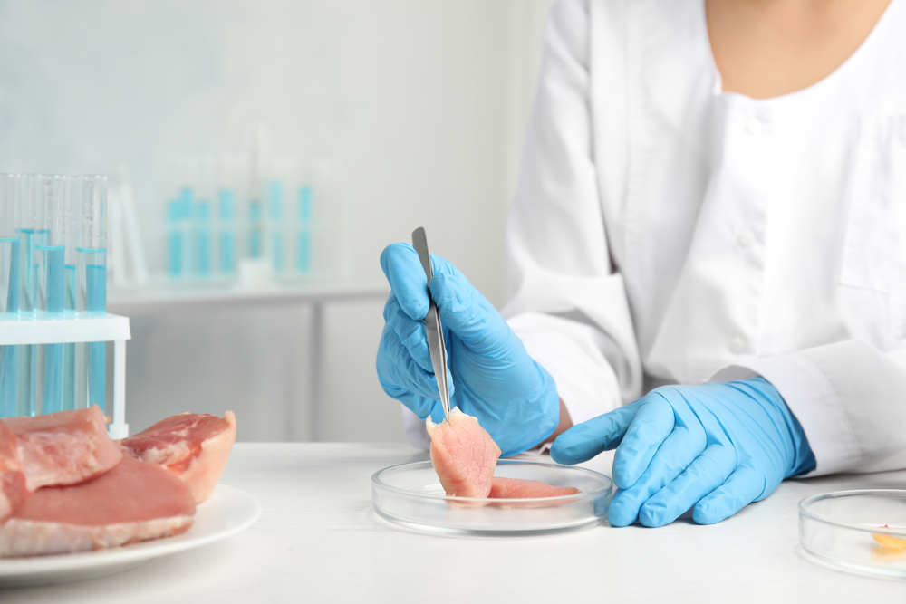 Scientist with raw meat at table in laboratory, closeup. Poison detection