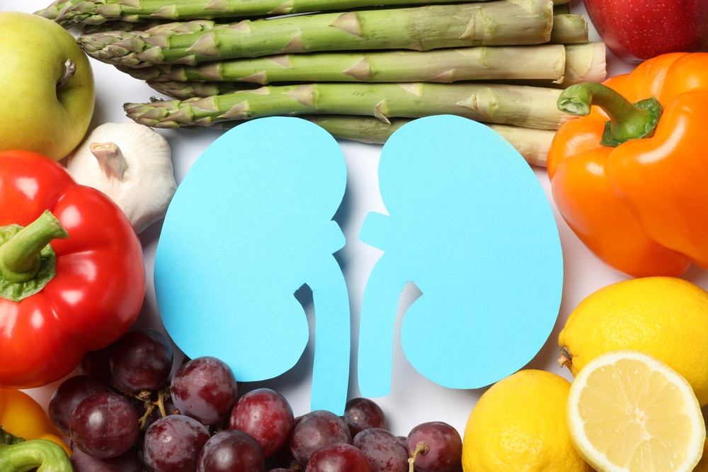 Paper cutout of kidneys and different healthy products on white background, flat lay