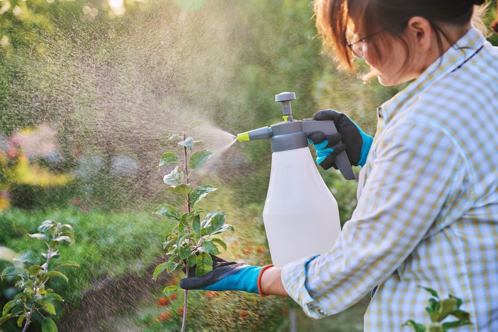 Woman in garden with spray gun spraying young trees with preparations for diseases and pests
