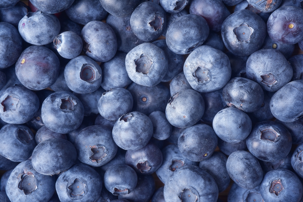 Close up photograph of fresh blueberries. Blueberries are a nutritious, delicious food. Healthy organic eating concept. Anthocyanin gives blueberries  blue colour and health benefits. Background. 