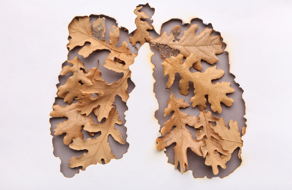 Paper cut out lungs and dry oak leaves on grey background