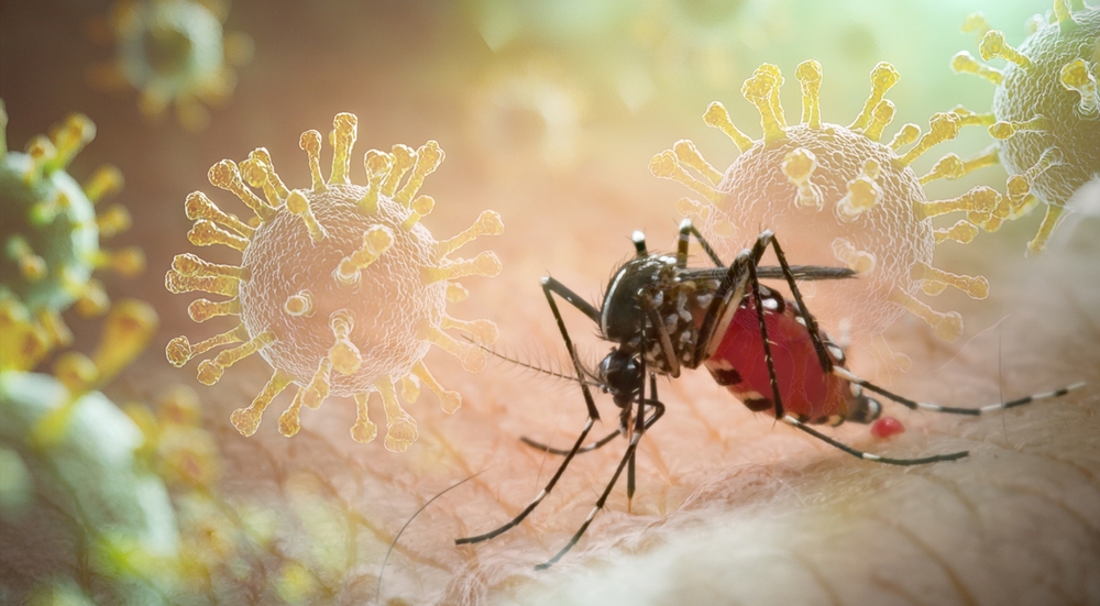 Aedes aegypti mosquito with vial DHF vaccine concept for vaccine anti mosquitoes cause born disease,Laboratory research,Medical science vaccine testing,macrophotography,tropical disease
