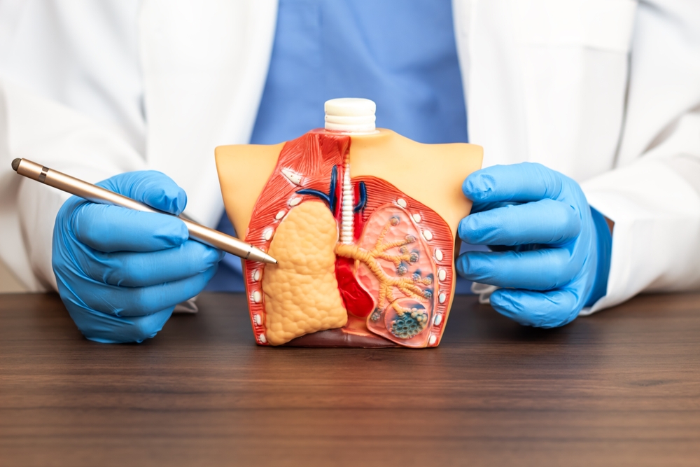 A pulmonologist explains lung diseases using an anatomical model showing the alveoli. Medical concepts about lung cancer, pulmonary alveolar proteinosis, and respiratory damage. Close-up