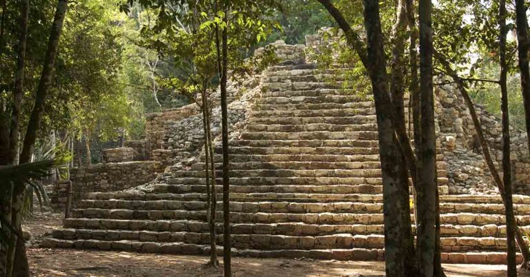 Mexico, Guatemala, and Belize Unite to Protect Mayan Jungle With New Tri-National Reserve - Featured image