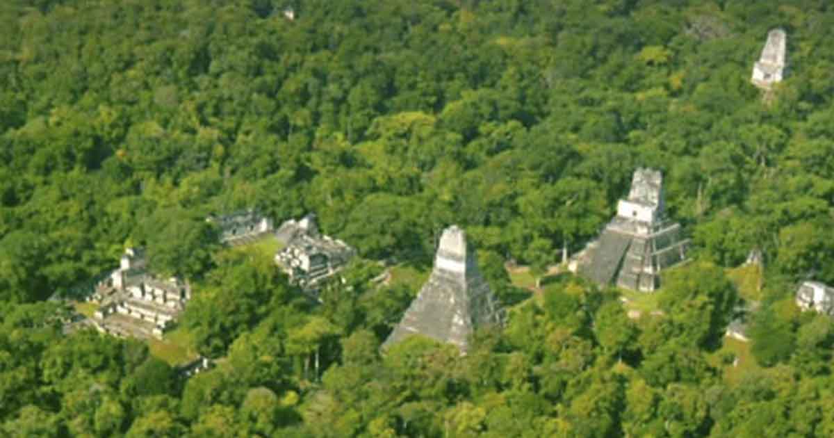 Mexico, Guatemala, and Belizzi joined preventing Mayan Forests with the new Tri-National Reserve
