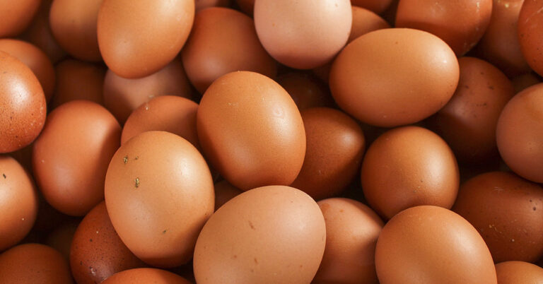 Salmonella Outbreak Across Multiple States Tied to Egg Recall, CDC Reports - Featured image